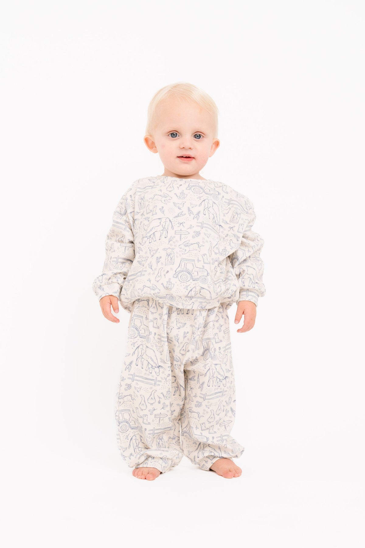 Sweet Homestead Sweatsuit