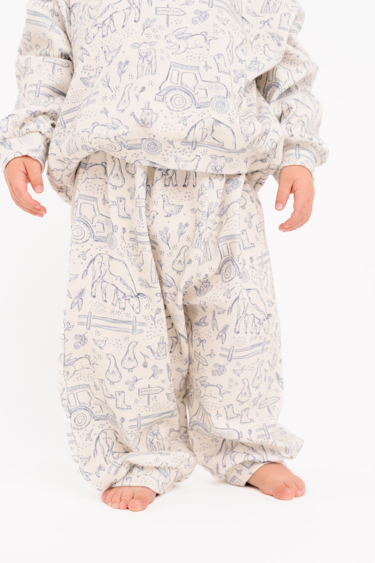 Sweet Homestead Sweatsuit